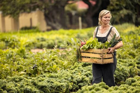 Potager top 15 des légumes que vous devez absolument planter en octobre