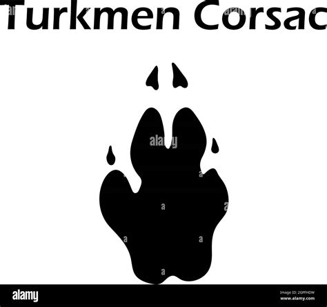 Turkmen Corsac Footprint Stock Vector Image Art Alamy