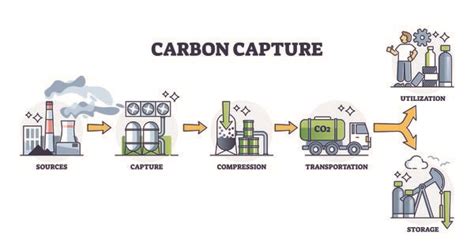 Qu Es La Captura De Carbono Y Por Qu Es Importante Grafix Digital