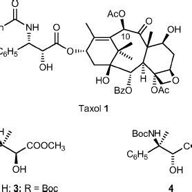 Structure of taxol and taxol side-chain analogs. | Download Scientific ...