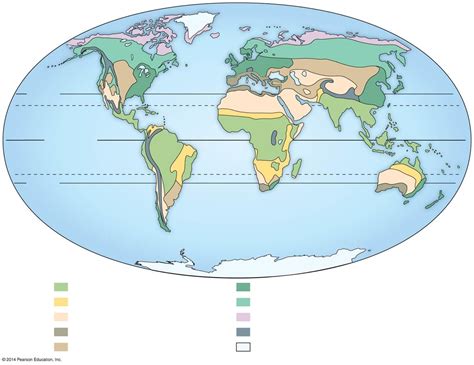 Temperate Evergreen Forest Map