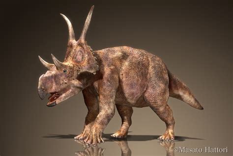 Diabloceratops Pictures & Facts - The Dinosaur Database