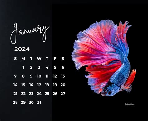 2024 Wall Calendar 2024 Betta Calendar 2024 Wall Calendar Printable