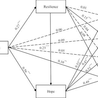 Standardized Path Coefficients For The Mediation Model Linking Career