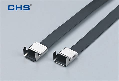 L Type Plastic Sprayed Stainless Steel Cable Ties LTP 12150 From China