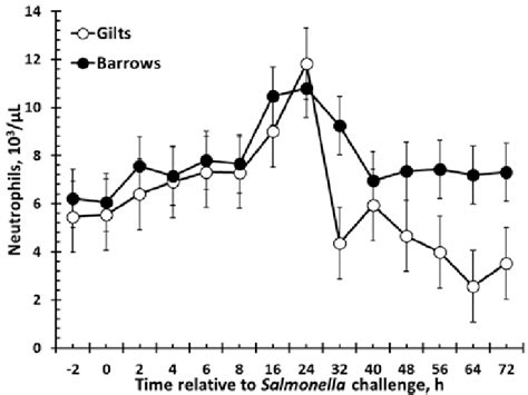 Effect Of Sex On The Neutrophil Response To An Oral Salmonella