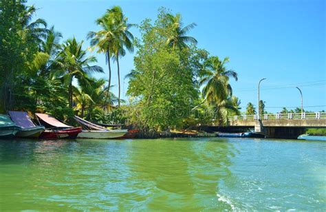 Madu Ganga River In Sri Lanka Editorial Photography Image Of Trees