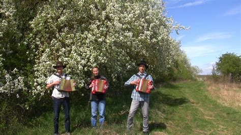 Land der dunklen Wälder Ostpreußenlied Handharmonika Musik YouTube