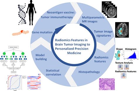 Cancers Free Full Text Efficient Radiomics Based Classification Of