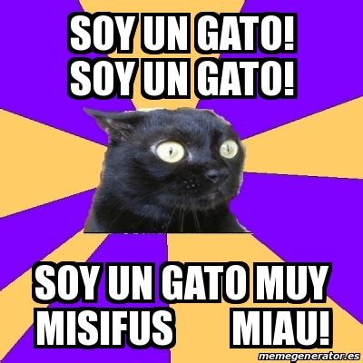 Meme Anxiety Cat Soy Un Gato Soy Un Gato Soy Un Gato Muy Misifus