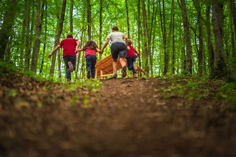 Forest Bathing Cos Benefici Dove Praticarlo Style