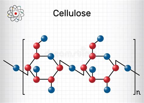 Molécula Del Polisacárido De La Celulosa Hoja De Papel En Una Jaula F