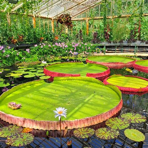 10 Best Botanical Gardens In The World To Visit