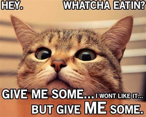 37 Funny Food Memes That'll Make You Hungry for More! - Winkgo