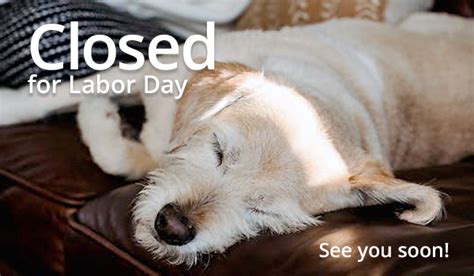 Closed for Labor Day - Dorothy O'Connor Pet Adoption Center