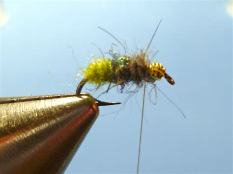 Korns Wh Apple Caddis Emerger Sbs