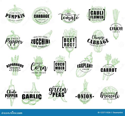 Vegetable Hand Drawn Lettering With Veggies Sketch Stock Vector