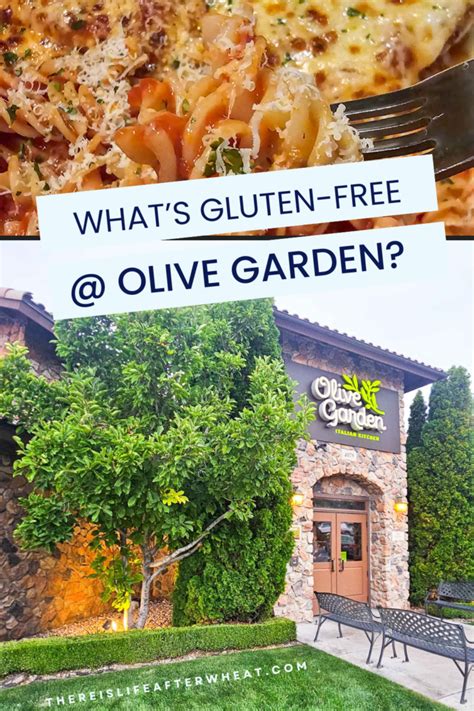 Olive Garden Gluten Free Menu Options Guide