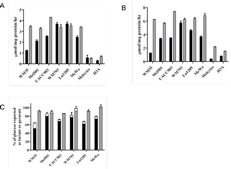 Figure 1 From Comparative Metabolic Flux Profiling Of Melanoma Cell