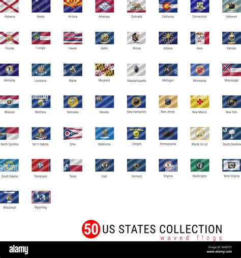 50 US States Vector Flag Set. Official Vector Flags of All 50 States. US States Waved Flags with ...