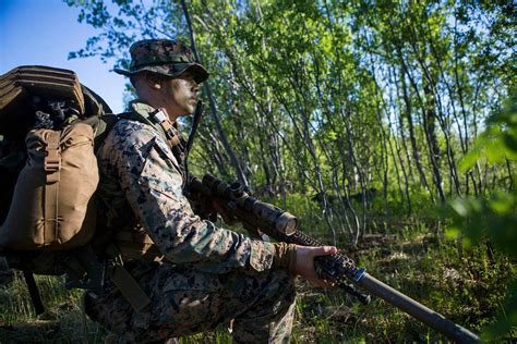 A U S Marine Corps Scout Sniper With Marine Rotational Picryl