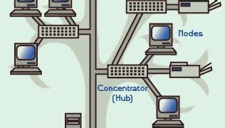 Tree topology examples Archives - IT Release