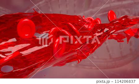 The Blood Cells For Medical Or Sci Concept D Pixta