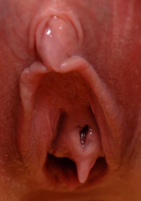 Another Pussy Collection XNXX Adult Forum