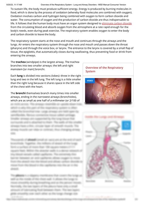 Solution Overview Of The Respiratory System Lung And Airway Disorders Msd Manual Consumer