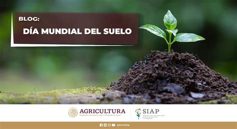 D A Mundial Del Suelo Servicio De Informaci N Agroalimentaria Y