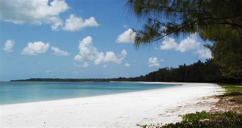 Isola Di Pemba Un Paradiso Sempre Verde Ricca Di Fascino E Natura