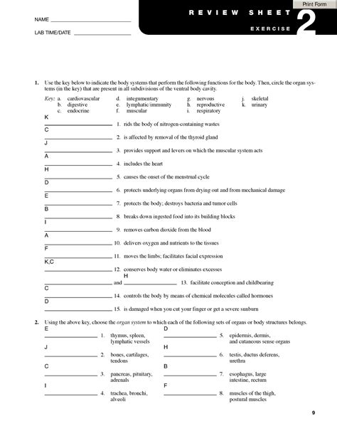 Review Sheet Exercise 2 9 1 Use The Key Below To Indicate The Body