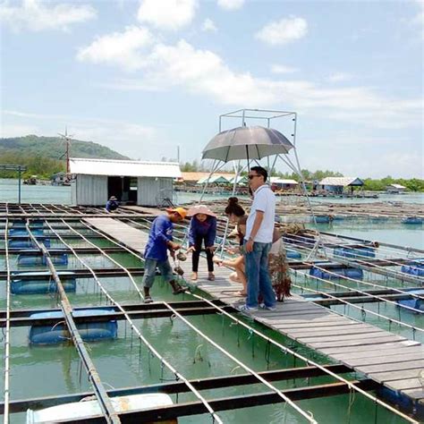 Half Day Tour Phuket Pearl Farm Trip Phuket Dream Company