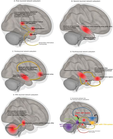 Brain Networks Of Emotional Prosody Processing Didier Grandjean 2021