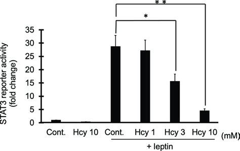 Homocysteine Mediated Inhibition Of Leptin Induced Stat3 Download Scientific Diagram