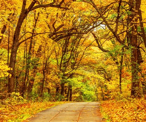 17 Great Places to Enjoy Massachusetts Fall Foliage