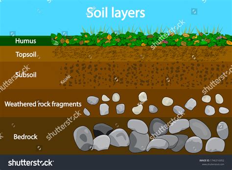 Soil Layers Diagram Showing Soil Layers Soil Royalty Free Stock