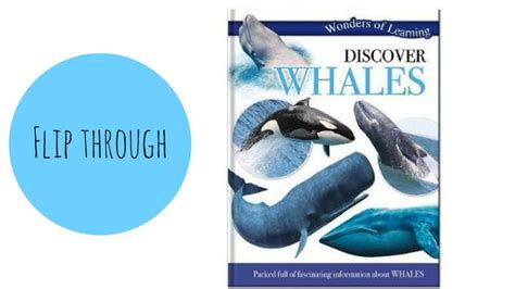 Wonders Of Learning Discover Whales By North Parade Publishing Youtube