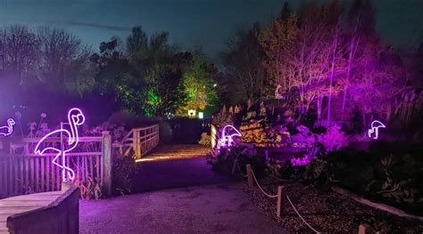 Illuminature A Winter Wander Through The WWT London Wetland Centre