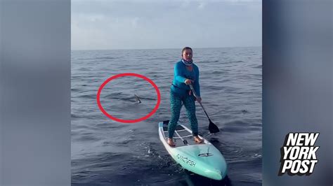 Hammerhead Shark Stalks Paddleboarder During 83 Mile Trek Across Open