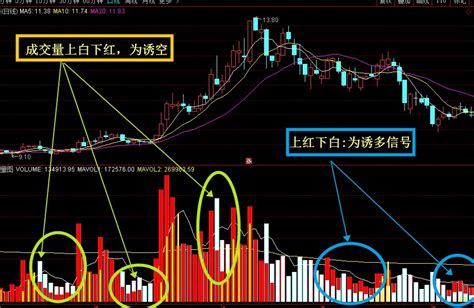 一位资深操盘手彻底看懂“新成交量法则”，从亏损严重到财富自由 通达信指标网