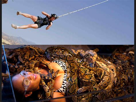 Fear Factor | Fear Factor Latest | Extreme Stunts In Fear Factor ...