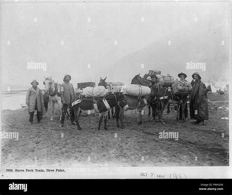 Punto De Dyea Fotografías E Imágenes De Alta Resolución Alamy