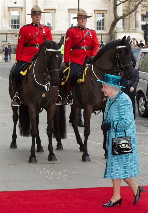 17 Best images about Royal Canadian Mounted Police on Pinterest ...