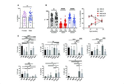 | The human immune system in HIS-BRGS-mice. (A) Human chimerism (%hCD45 ...