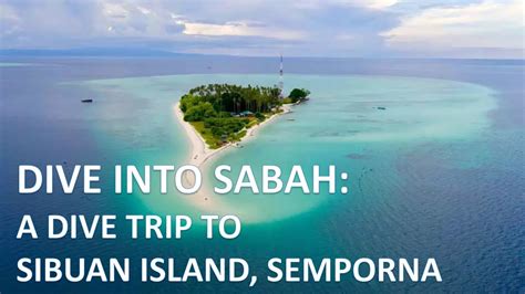 Dive Into Semporna Exploring Sibuan Island S Underwater Wonders Youtube