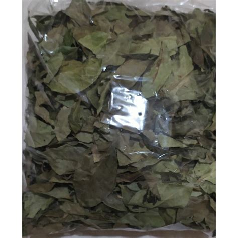 Jual Daun salam kering 100gr | Shopee Indonesia