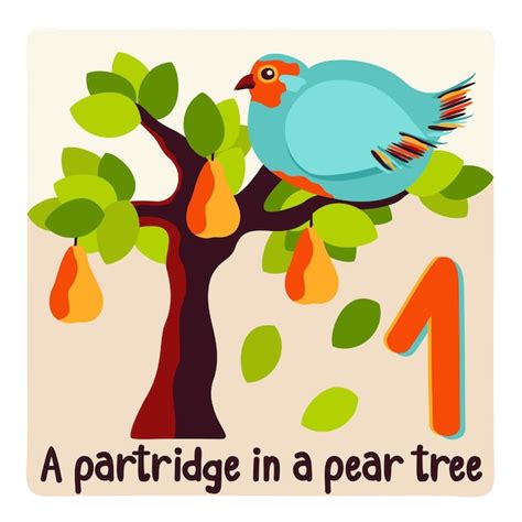 Premium Vector Partridge In Pear Tree Twelve Days Of Christmas Vector