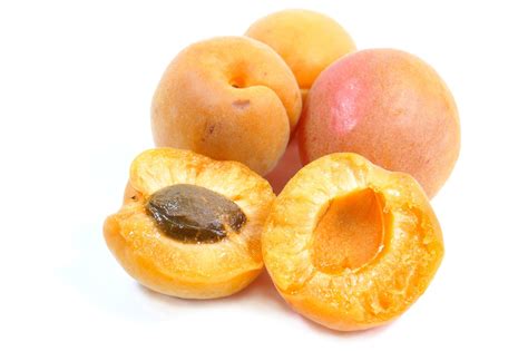 raw apricot apricot images pixabay