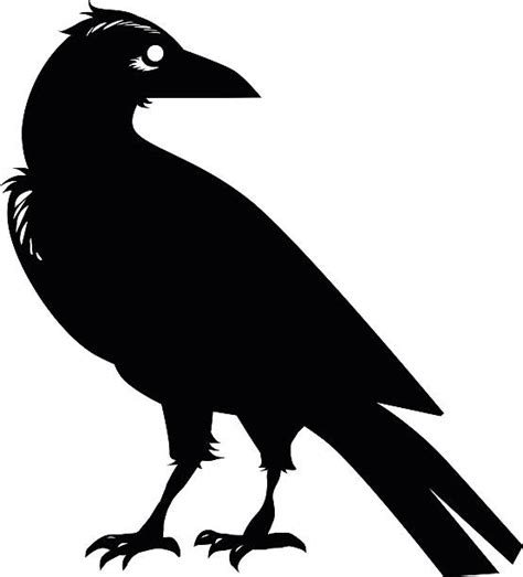 Royalty Free Crow Clip Art Vector Images And Illustrations Istock